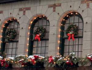 Festoon Installation Example