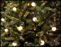 Globelight-Cat