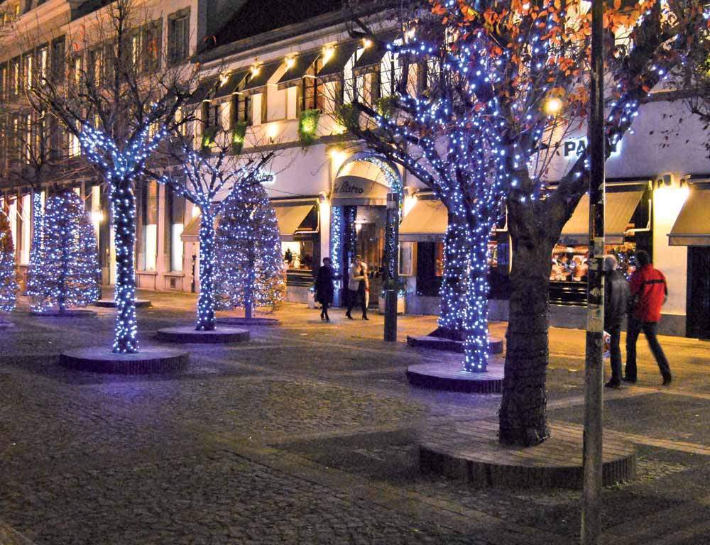 PRO2015__Page_175_Image_0001
